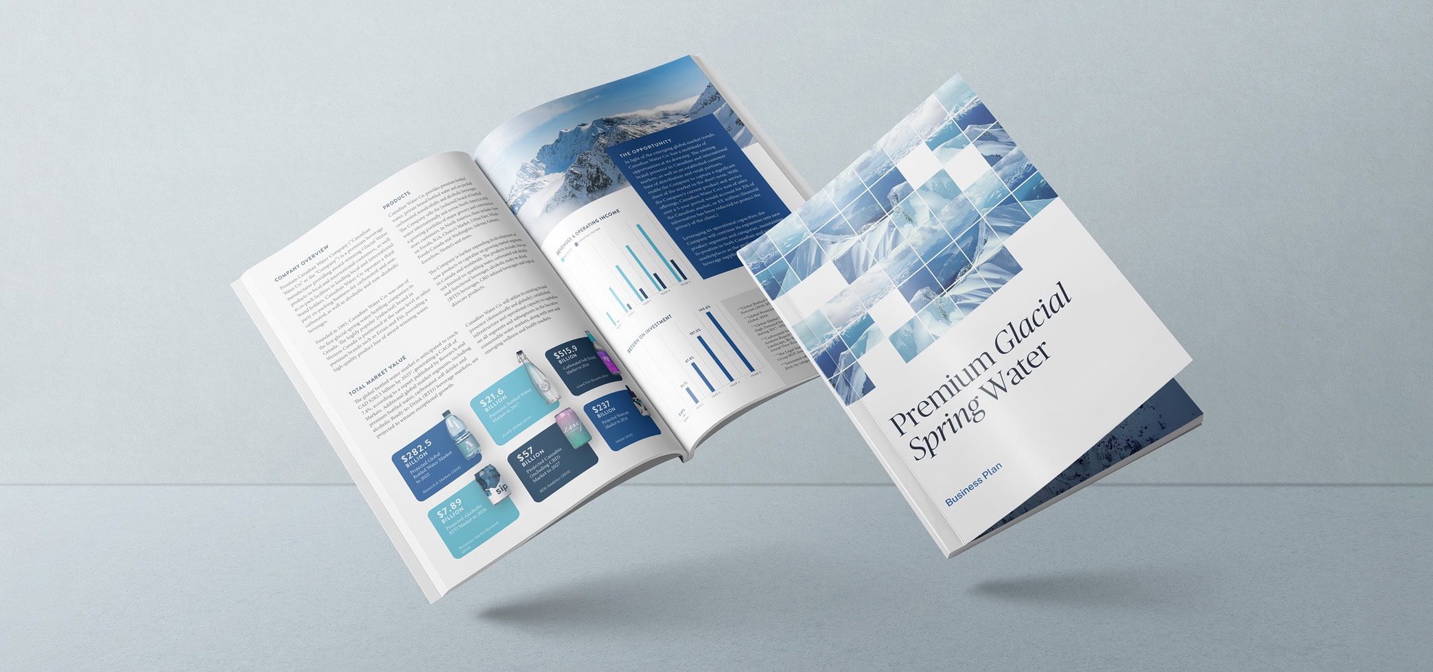 CPG business plan cover example and inner page design example showing infographs, sharts and page layout.
